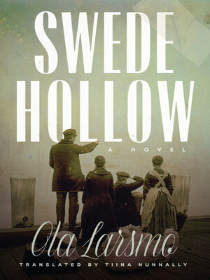 cover image of Swede Hollow: a Novel